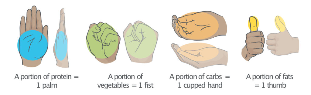 Teaching Hand Portion Sizing Hand portion sizing