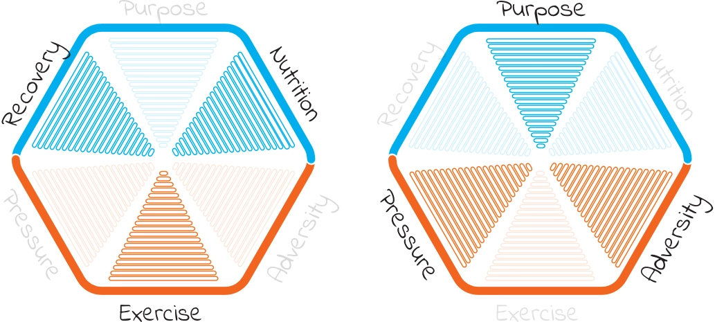 The two paths of wellbeing